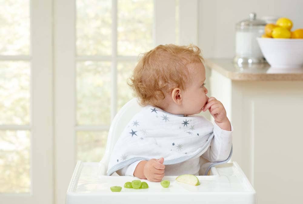 boutique 100% cotton muslin burpy bibs 2 pack - Image 2